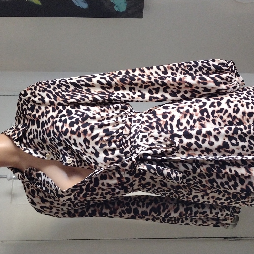 BCBGMaxAzria Animal Print Dress XS